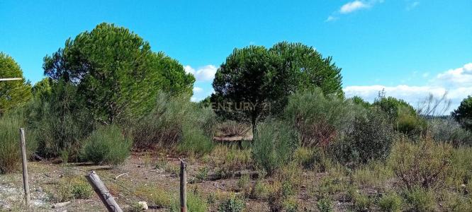 Castelo Branco, Castelo Branco 6000, Portugal
