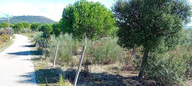 Castelo Branco, Castelo Branco 6000, Portugal