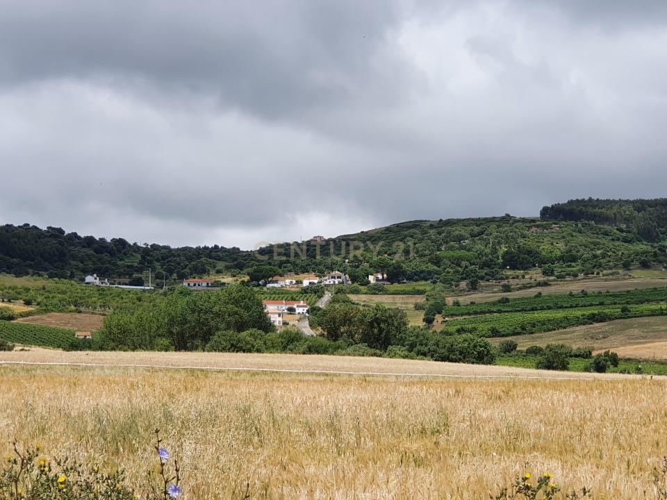 Arruda Dos Vinhos, Lisbona 2630-111, Portogallo