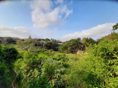 East London, Eastern Cape, South Africa