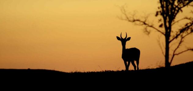 Modimolle, Limpopo, South Africa