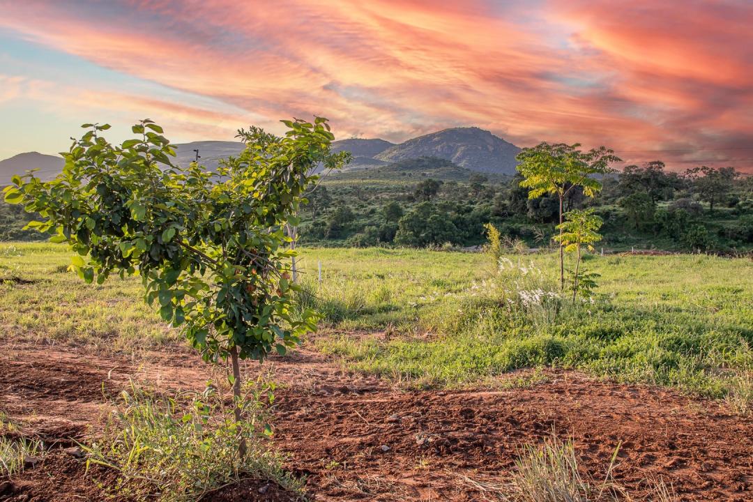 Malelane, 음봄벨라, 남아프리카