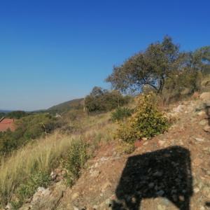 Pretoria, Gauteng, South Africa