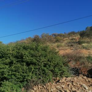 Pretoria, Gauteng, South Africa