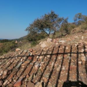 Pretoria, Gauteng, South Africa