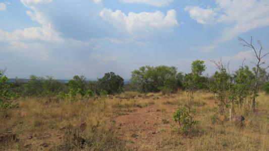 Modimolle, Limpopo, South Africa