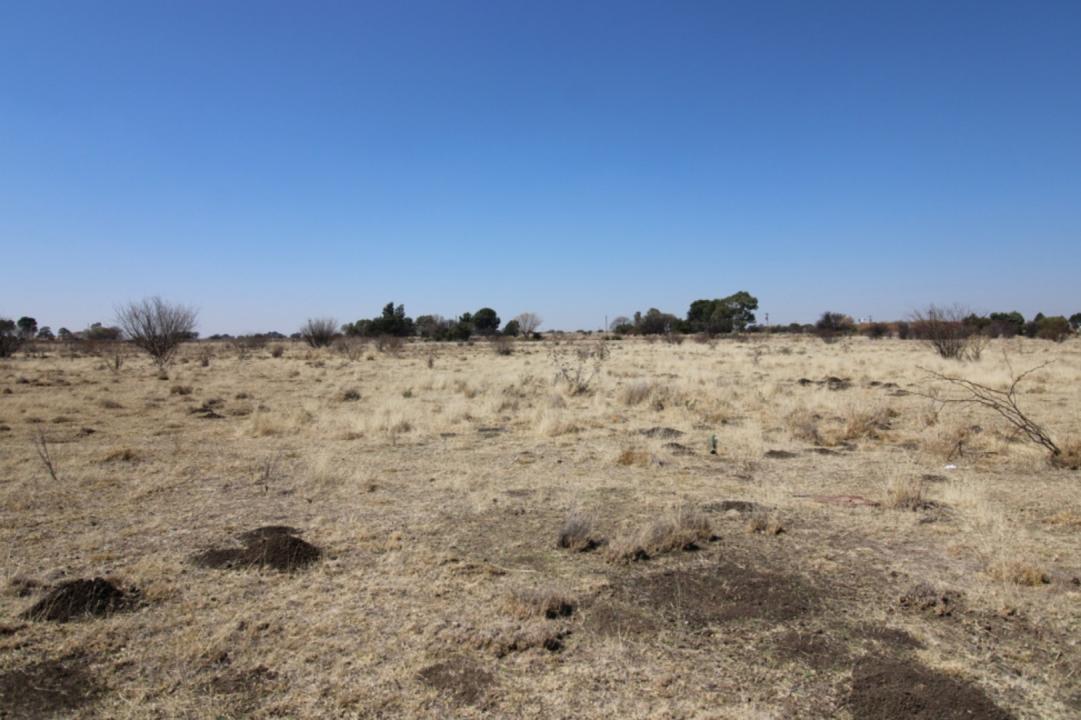 Bloemfontein, Free State, 南非