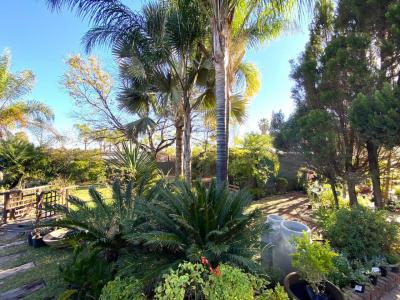 Modimolle, Limpopo, South Africa