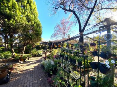 Modimolle, Limpopo, Sudáfrica