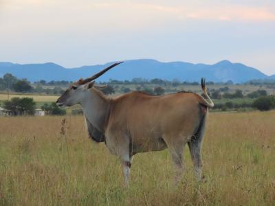 Parys, Free State, South Africa