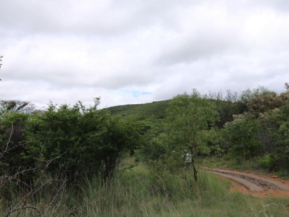 Bela Bela, Limpopo, 南非