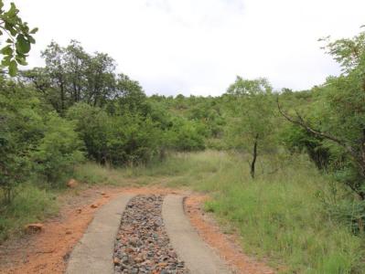 Bela Bela, Limpopo, 南非