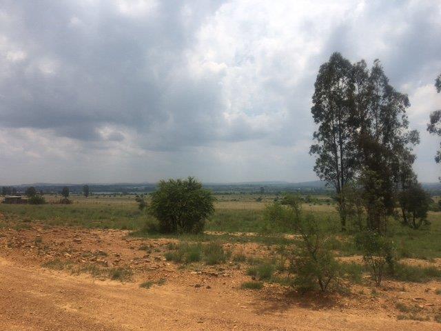 Potchefstroom, North West, 南非