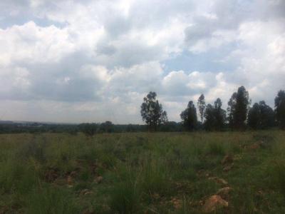 Potchefstroom, North West, 南非
