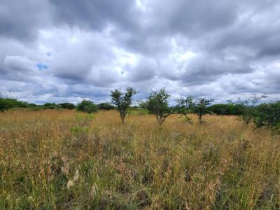 Polokwane, Limpopo, South Africa