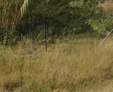 Pretoria, Gauteng, South Africa