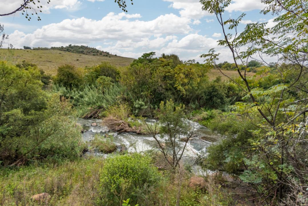 Randburg, 豪登省, 南非