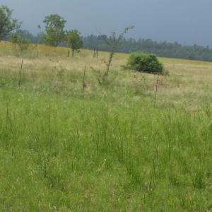 Rustenburg, North West, South Africa