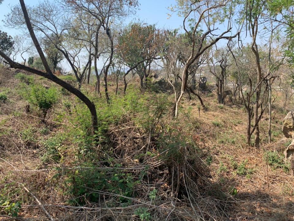 Nelspruit, Mpumalanga, Nam Mỹ