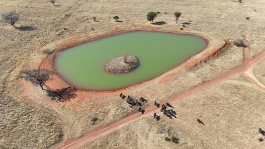 Bela Bela, Limpopo, South Africa