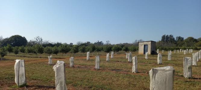 White River, 姆普馬蘭加, 南非