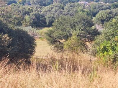 Modimolle, Limpopo, South Africa