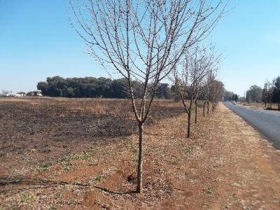 Meyerton, Gauteng, South Africa