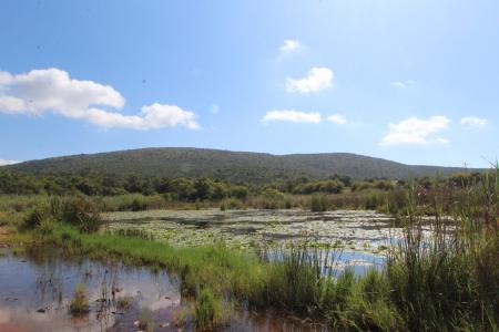 Modimolle, Limpopo, South Africa