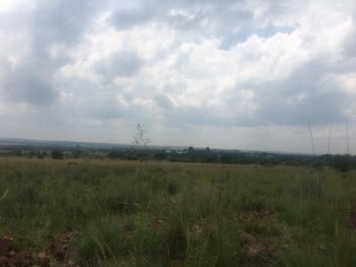 Potchefstroom, North West, South Africa