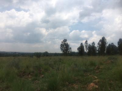 Potchefstroom, North West, South Africa