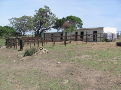 East London, Eastern Cape, South Africa