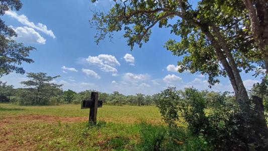 Modimolle, Limpopo, Republika Południowej Afryki