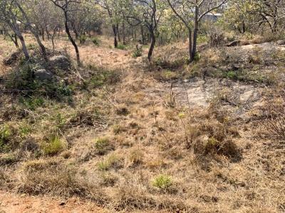 Nelspruit, 姆普馬蘭加, 南非