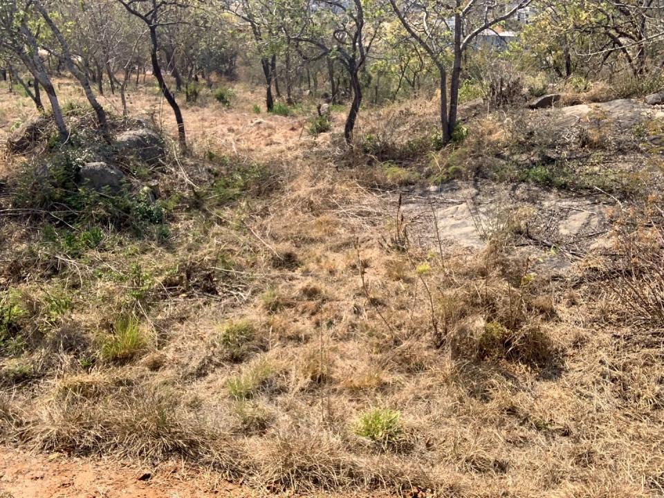 Nelspruit, Mpumalanga, Nam Mỹ