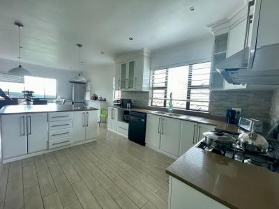 Durban, KwaZulu Natal, 南アフリカ