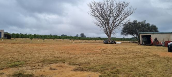 White River, 姆普馬蘭加, 南非