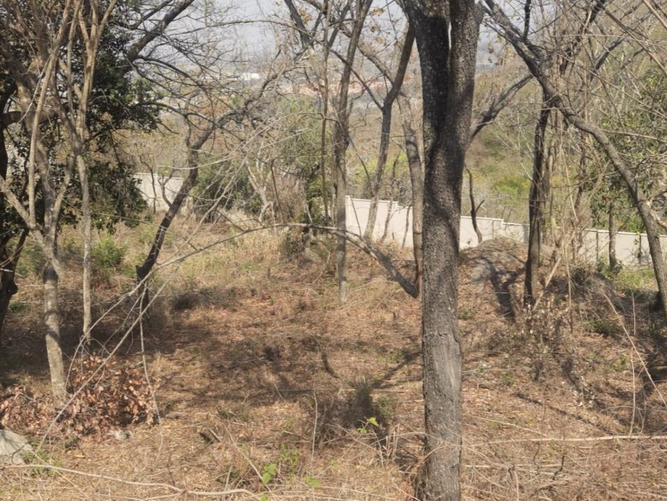 Nelspruit, Mpumalanga, Nam Mỹ