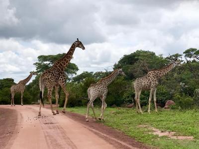 Bela Bela, Limpopo, Sudafrica