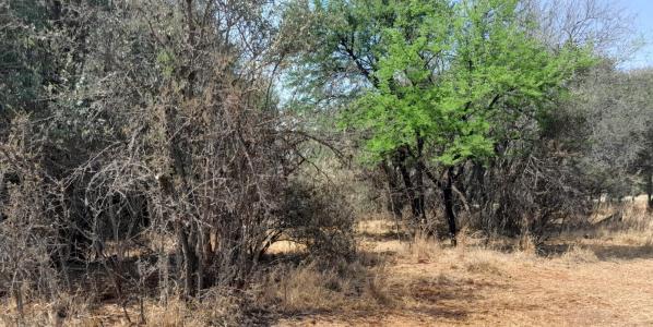 Hartbeespoort, North West, South Africa