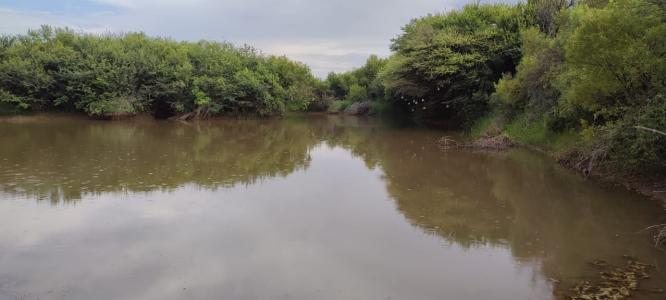 Swartruggens, North West, דרום אפריקה