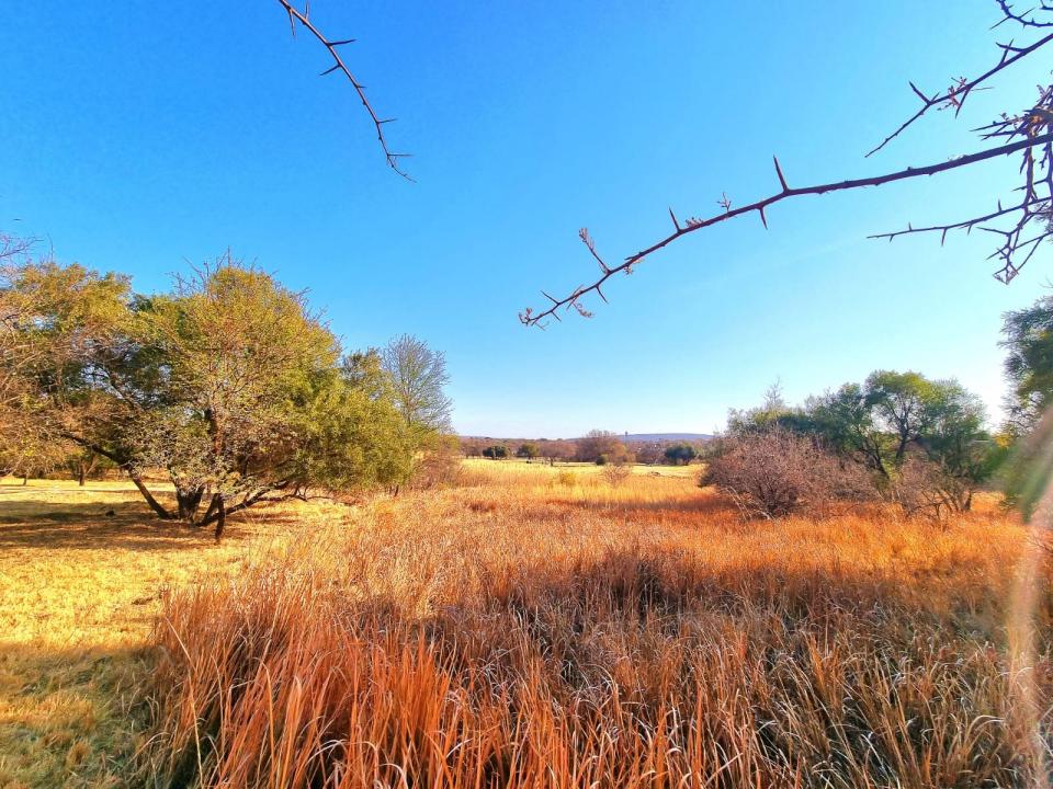 Modimolle, Limpopo, South Africa