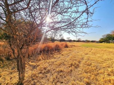 Modimolle, Limpopo, South Africa