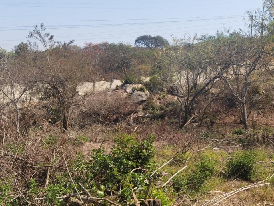 Nelspruit, Mpumalanga, Nam Mỹ