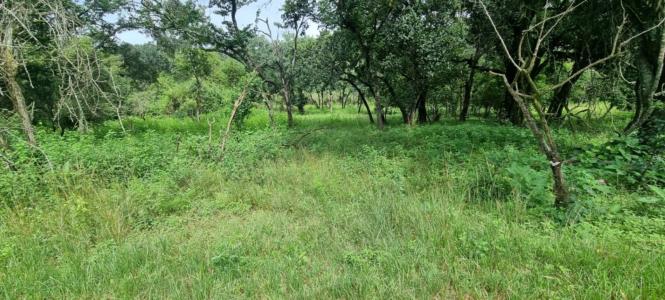 Hazyview, Mpumalanga, Afrique Du Sud
