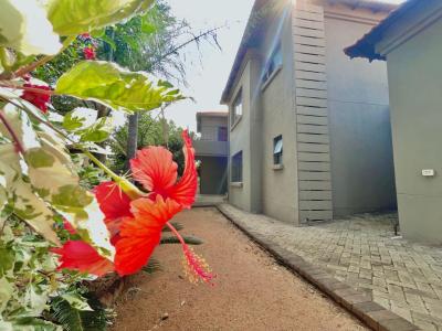 Polokwane, Limpopo, South Africa