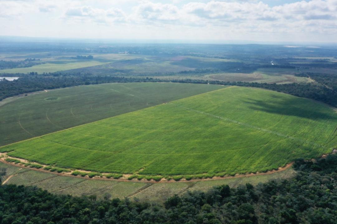 Modimolle, Limpopo, Sudafrica