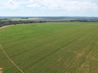 Modimolle, Limpopo, Sudafrica