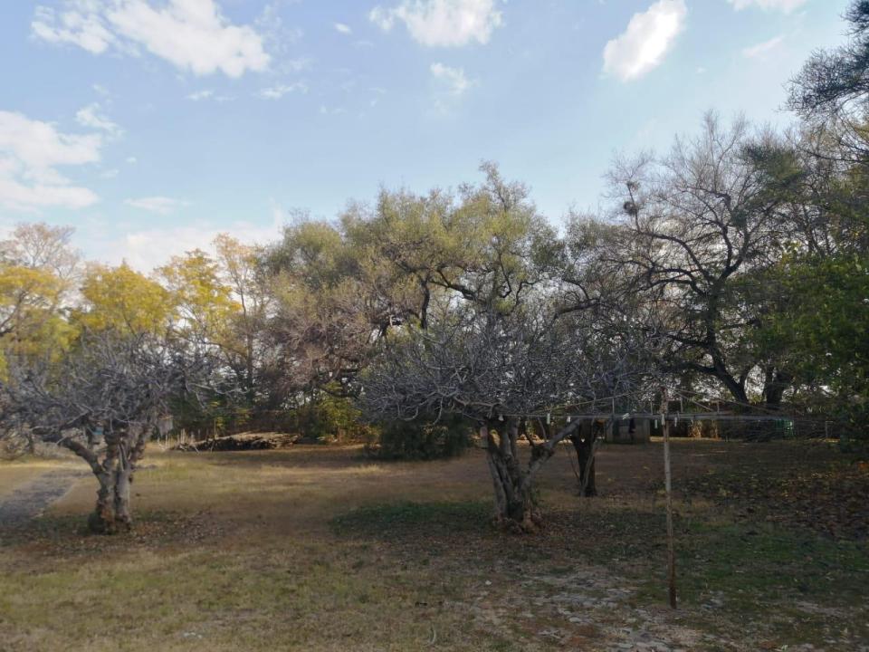 Brits, North West, Sudafrica