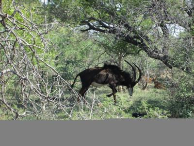 Northam, Limpopo, 南アフリカ