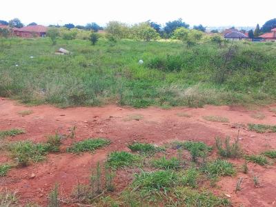 Rustenburg, North West, Güney Afrika